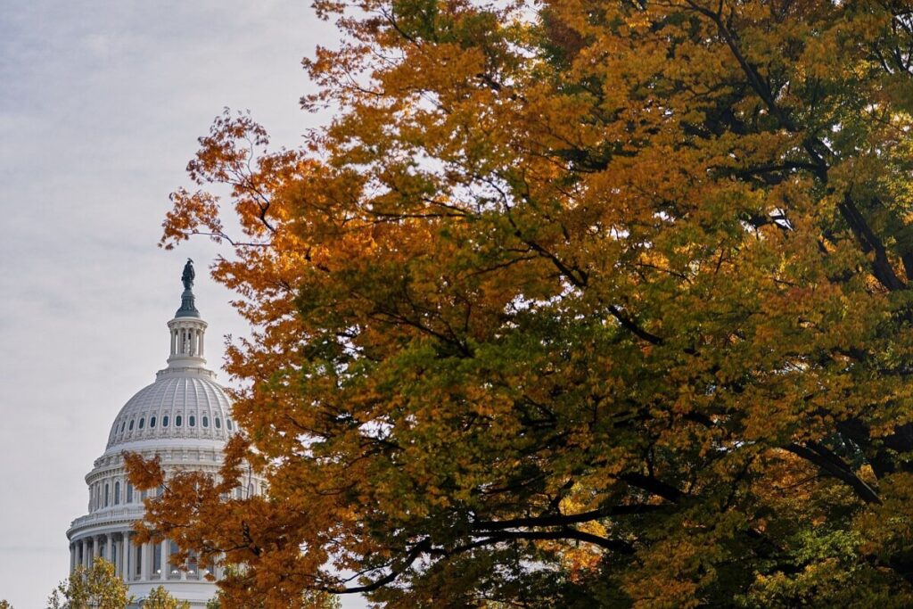 Nassour: DC’s games throw Mass. under the bus