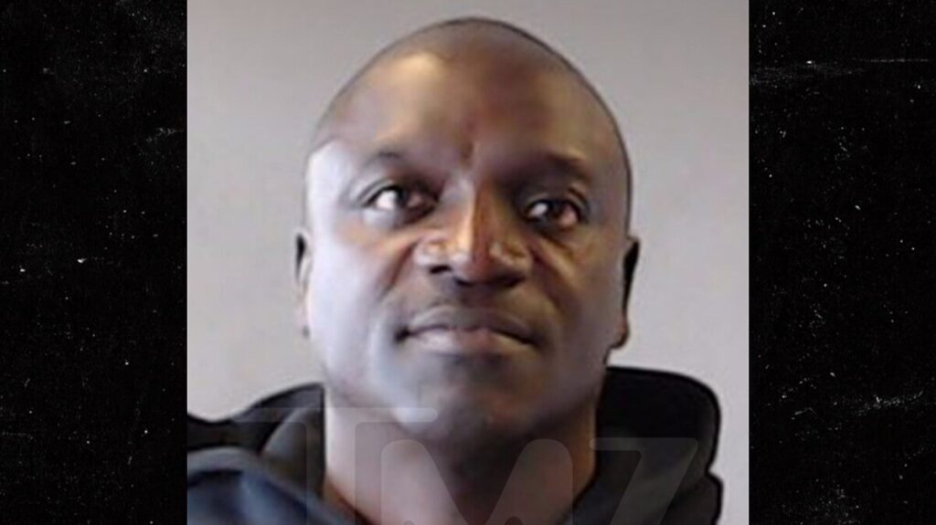 Akon Arrested in Georgia