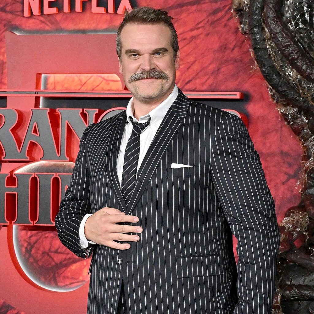 David Harbour Is Unrecognizable With Gray Hair Transformation