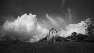 Could Donald Trump become president again in 2028?