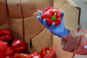 Food Stamp Benefits Will Be Paid Out ‘Within 24 Hours’ Of Government Reopening