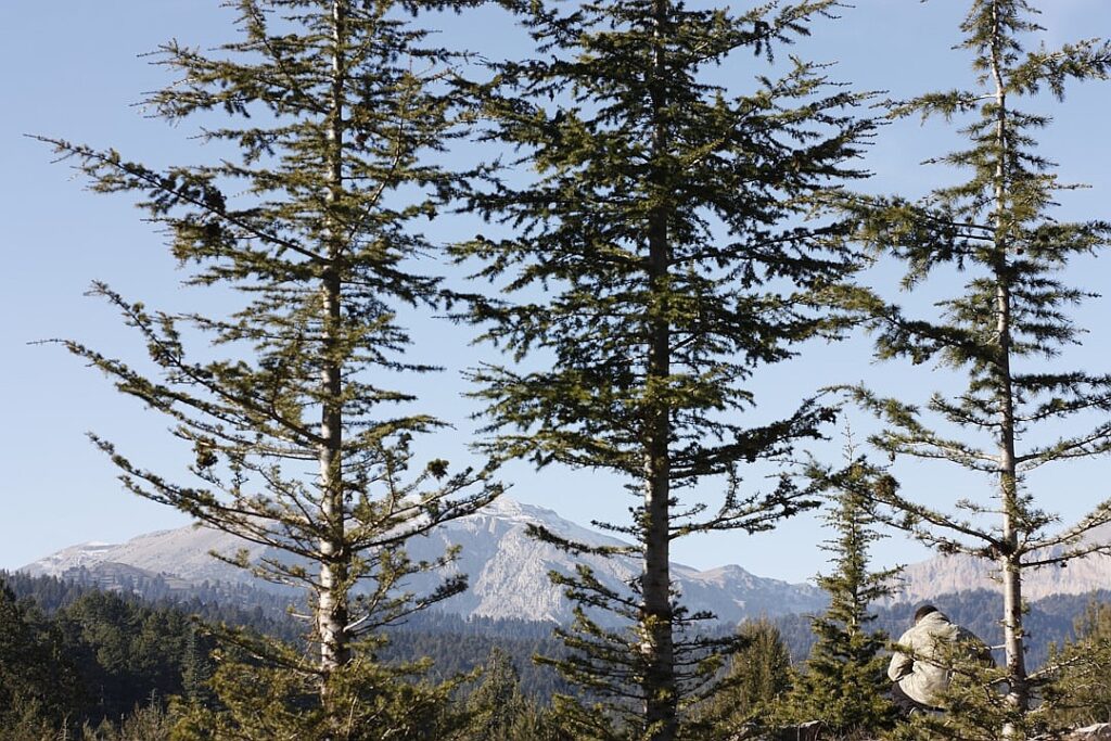 Natural Gas Falls on Shifting Weather Forecasts