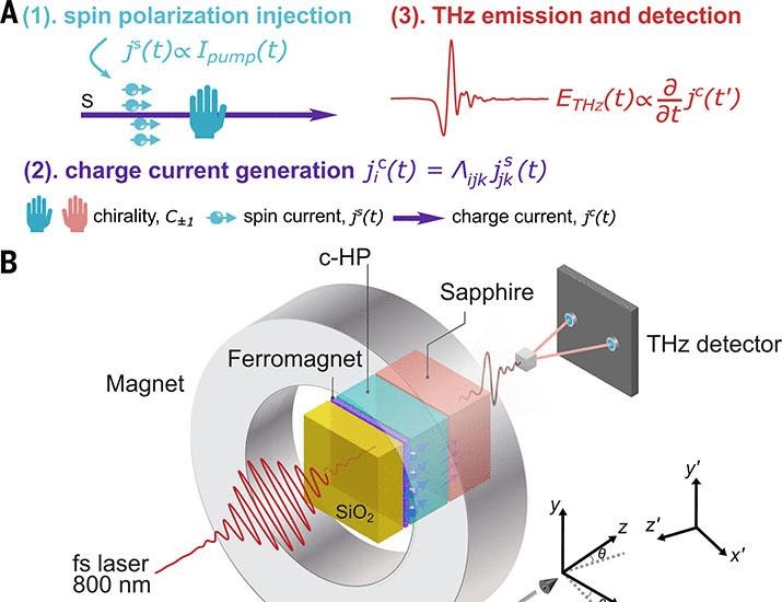 Ultrafast inverse chirality-induced spin selectivity observed by THz emission | Science