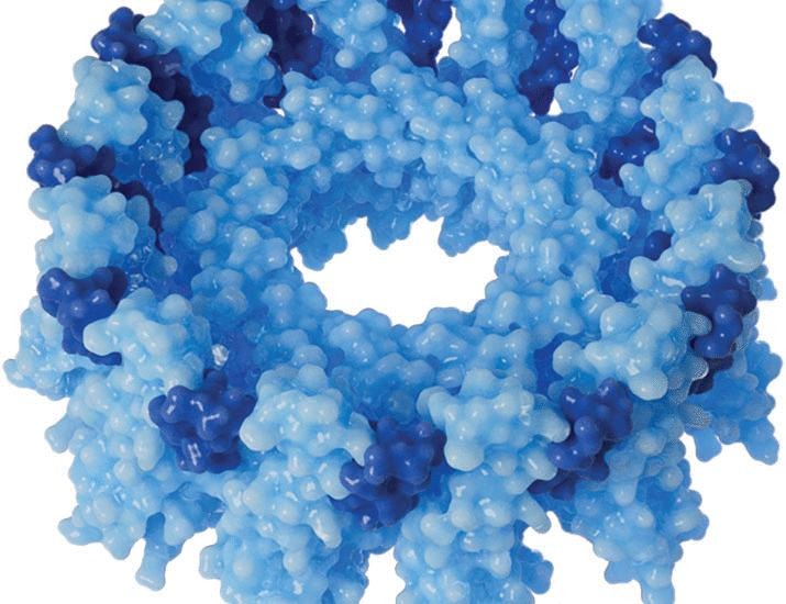 Seipin-adipogenin controls lipid storage in fat cells | Science