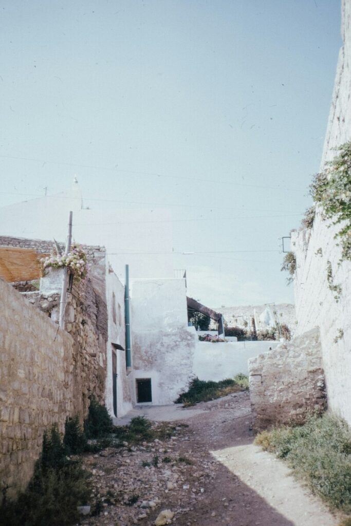 Cotera