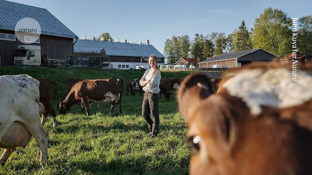 Researching sustainable food production, with help from the cows