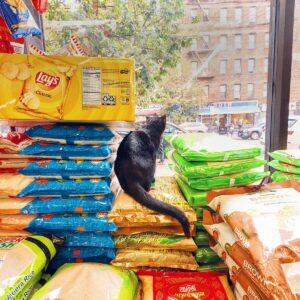 Trump’s Tariffs Hit Specialty Grocery Stores for Some Immigrant Communities Especially Hard