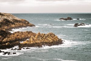 A slimy scheme to avoid property tax