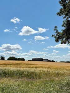 British businesses say they are furious with the government