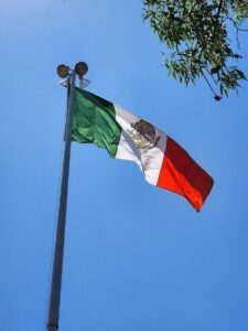 Mexico’s surprising record on murder