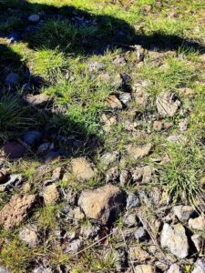 As the West turns inward, Africa looks eastward to China