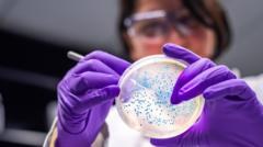 The bacteria turning waste plastic into painkillers