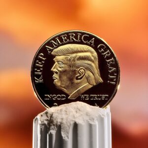 Trump Has Snatched the Power of the Purse. Congress Should Take It Back.