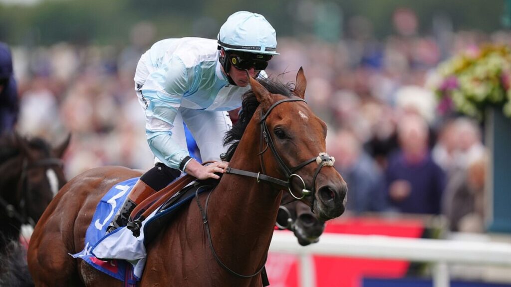 Pride Of Arras and Royal Champion face off in Bahrain