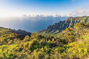 A night of big wins for the Democrats