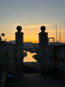 Can charity sustain conservation at scale?