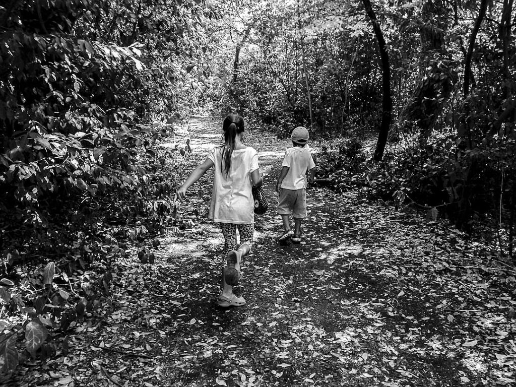 Robert H. Bartlett, Father of Innovative Life-Support System, Dies at 86