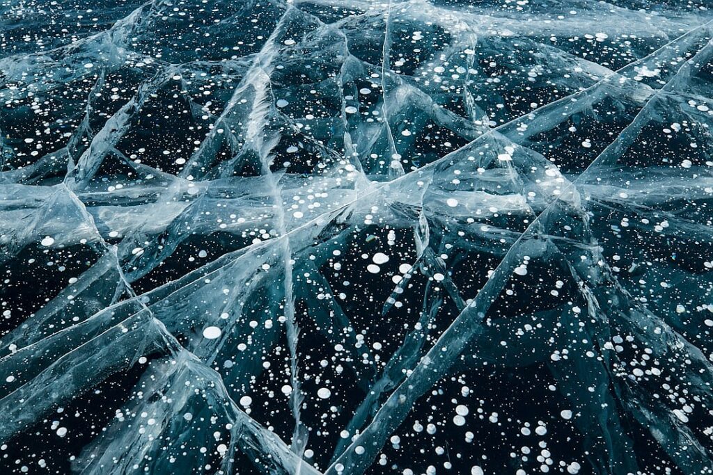 ICE show: how Donald Trump is creating his own police force