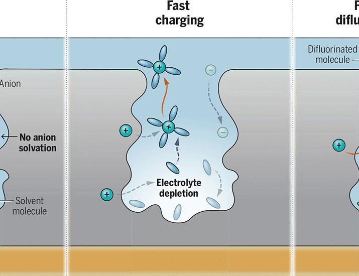 A balancing act of ions | Science