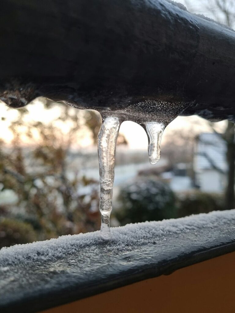 ICE show: how Donald Trump is creating his own police force