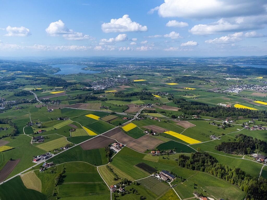 See how Donald Trump is creating his own police force