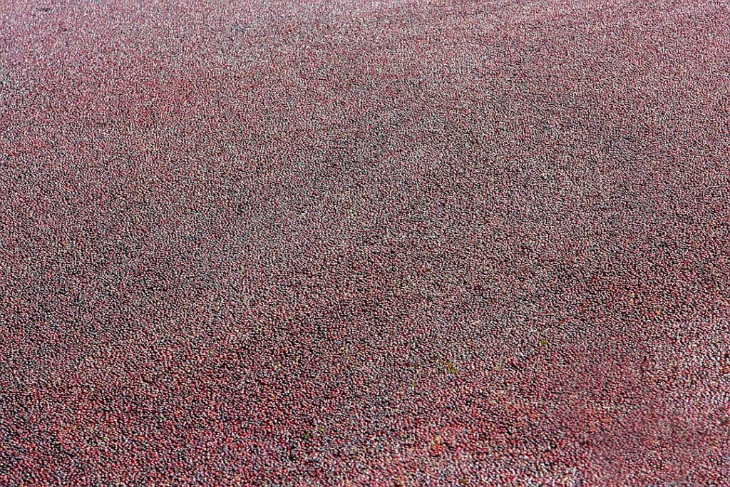 Massachusetts Offered a Solution to Housing Shortages. Is It Working?