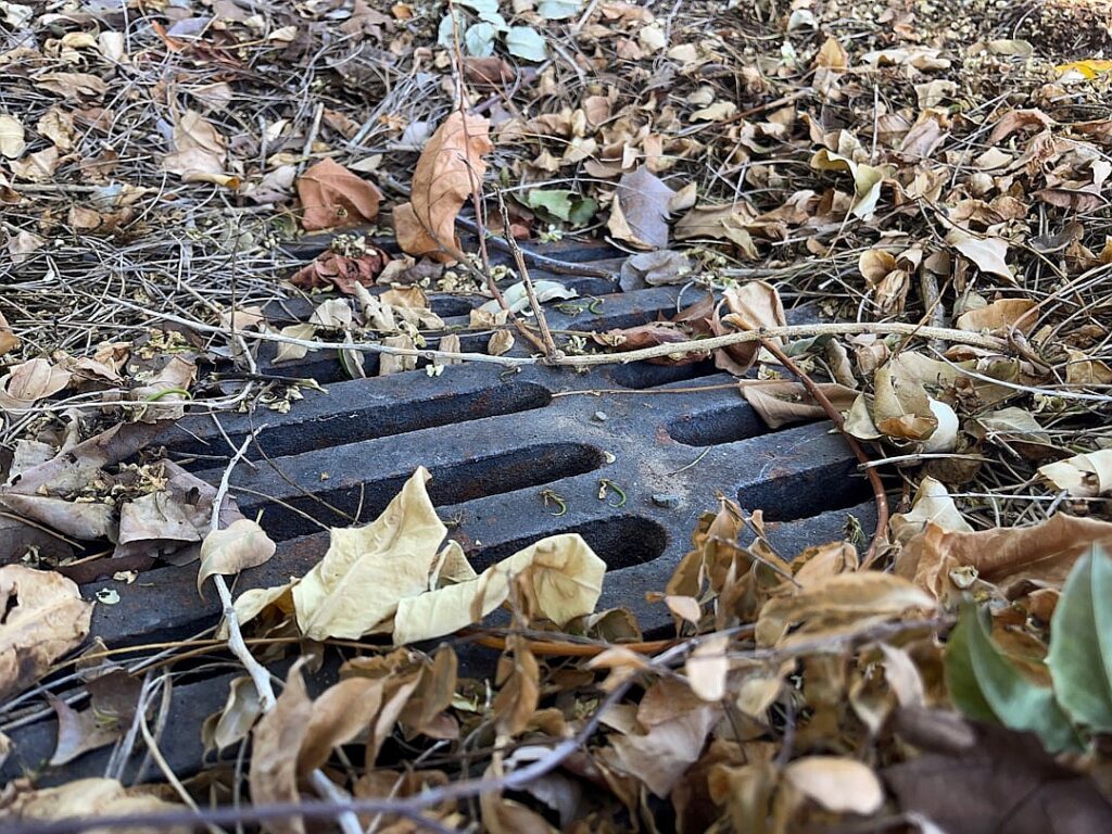 Cover Story newsletter: How markets could topple the economy