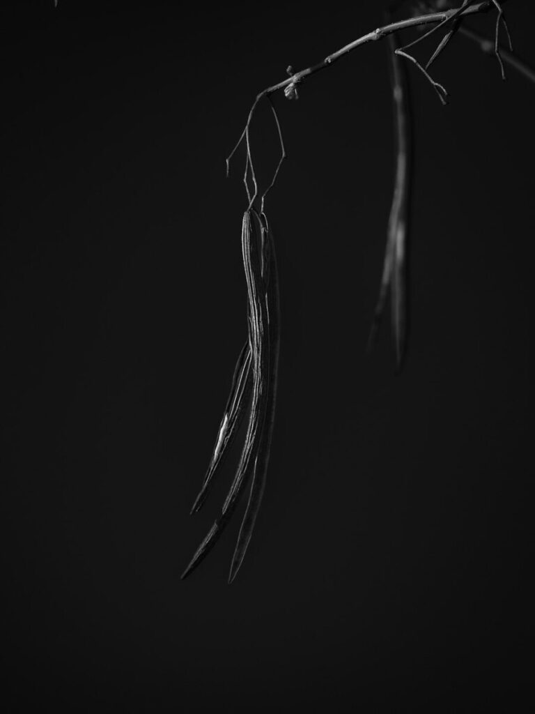 Racy fictional depictions of gangs irk people in Latin America