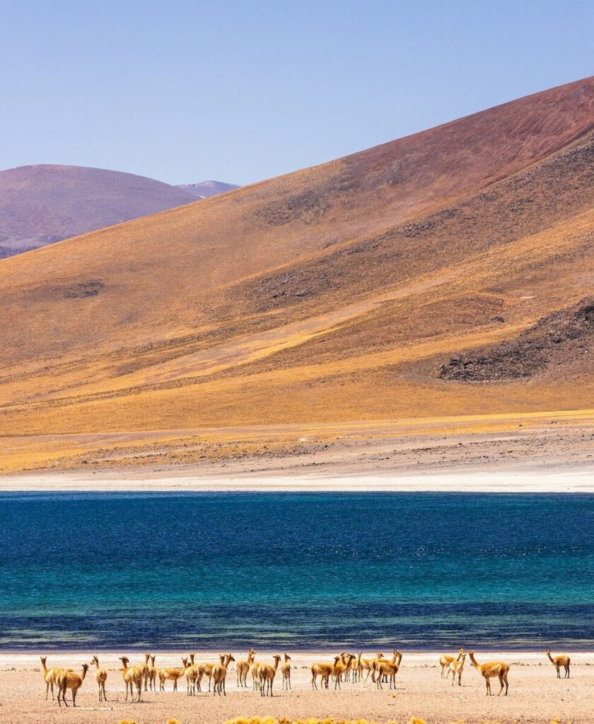 Chile heads for a sharp right turn