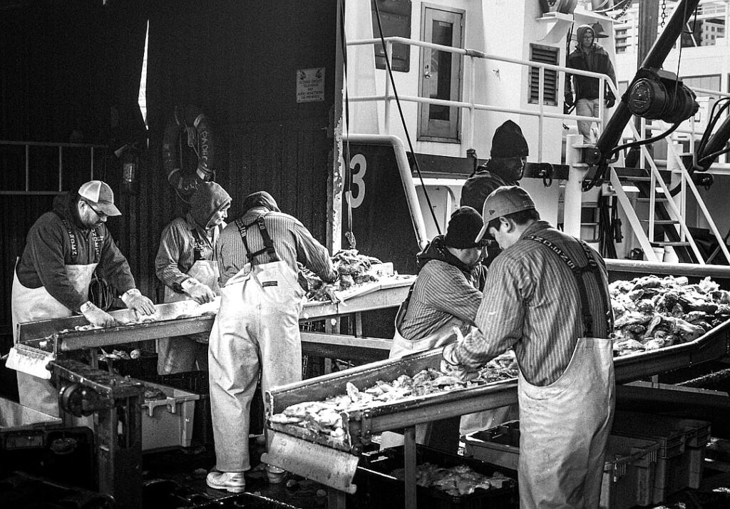 Stocks Sink in Broad AI Rout Sparked by China’s DeepSeek