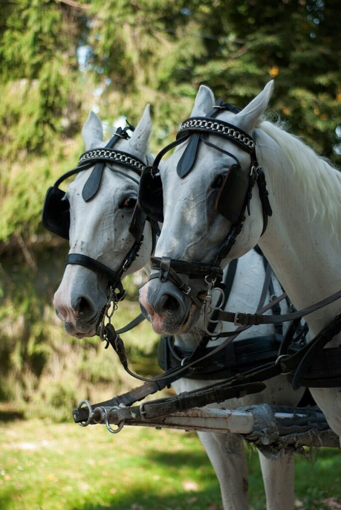 One of the poorest states in America introduces free child care