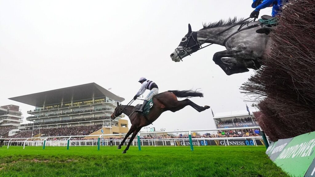 July Flower in full bloom for De Bromhead at Cheltenham