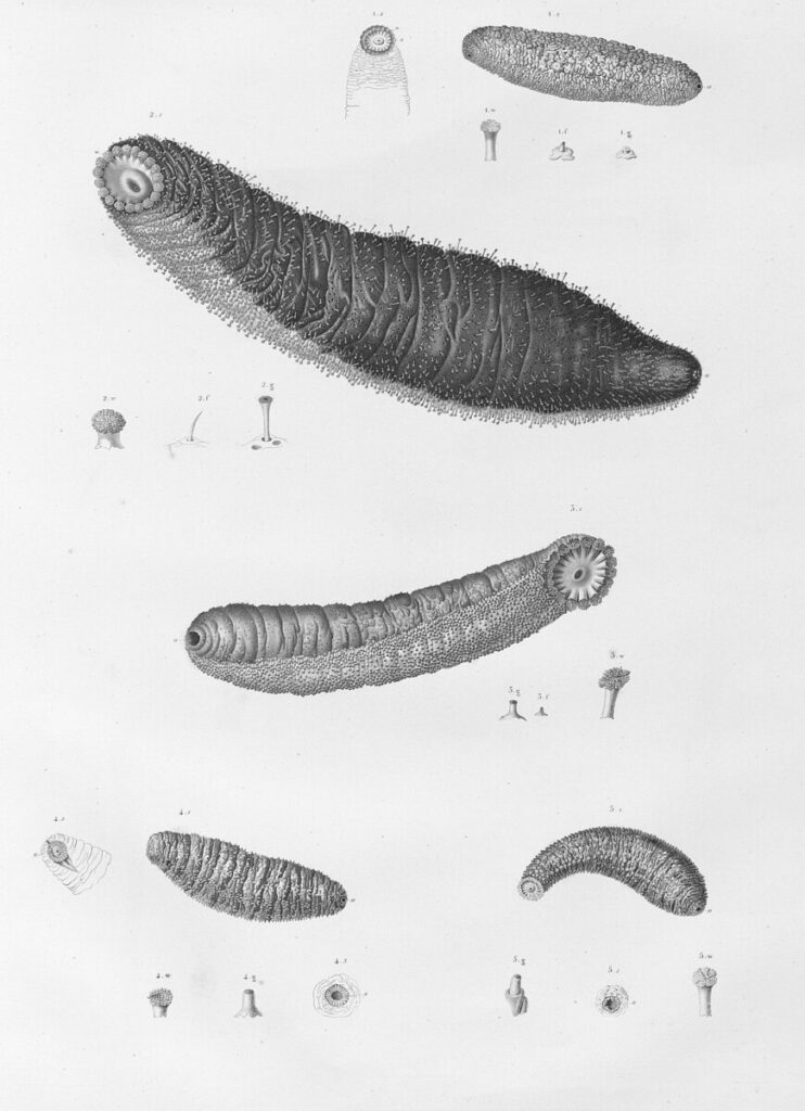 Libellous chatbots could be AI’s next big legal headache