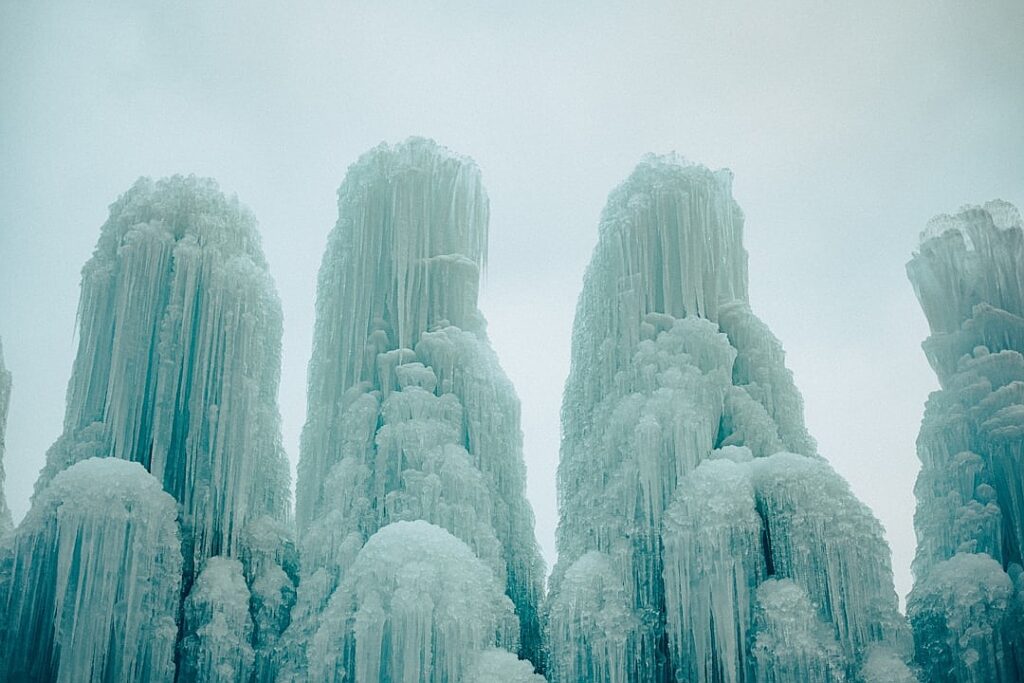 ICE show: how Donald Trump is creating his own police force