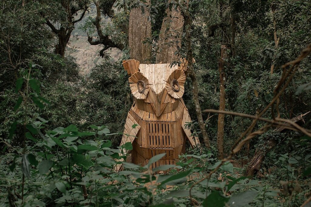 Guatemalan Black Howler Monkey