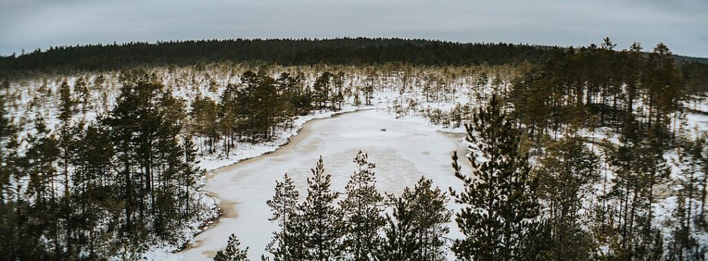 Bogged down in Ukraine, Russia is meddling elsewhere