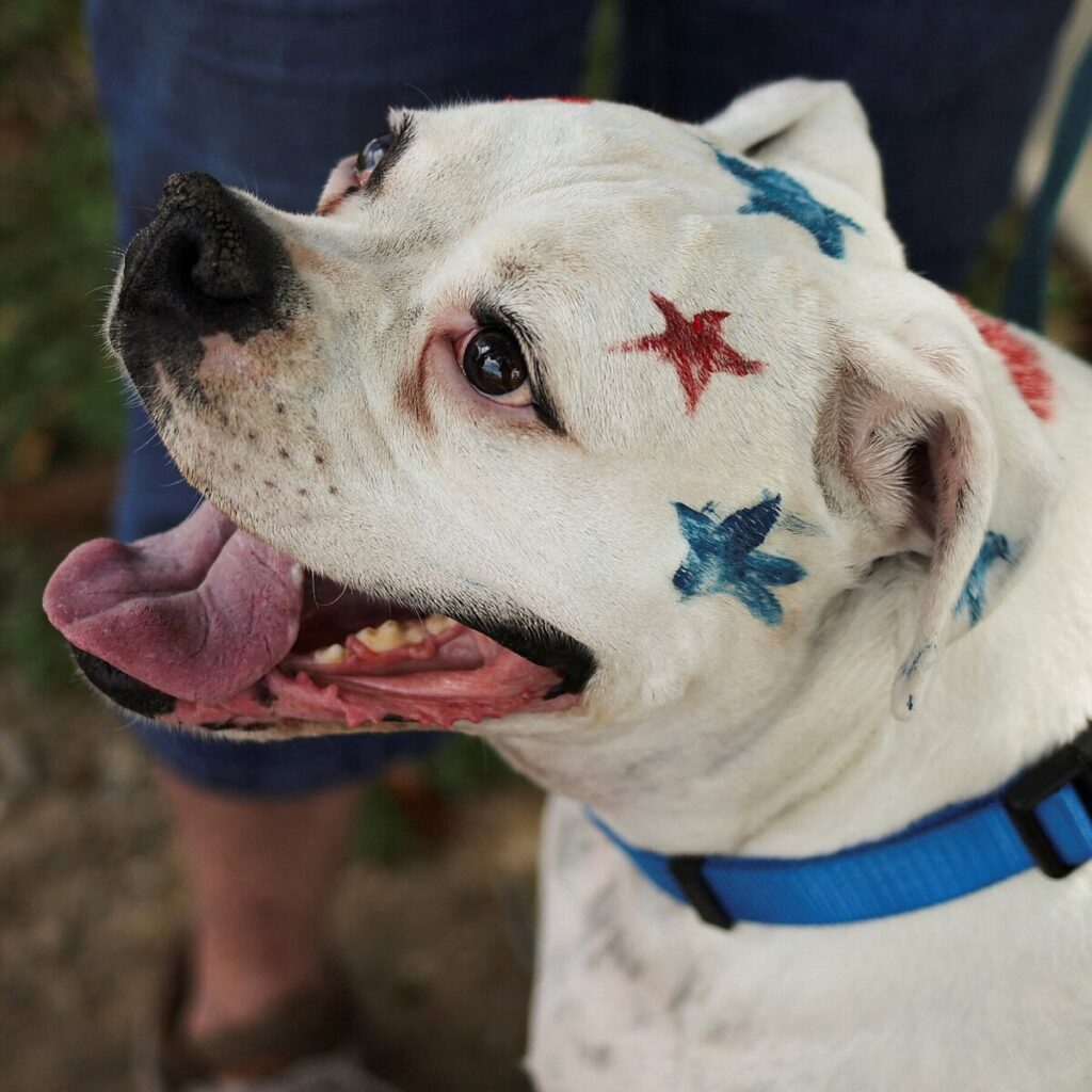 A Little, Precious Seedling of Hope