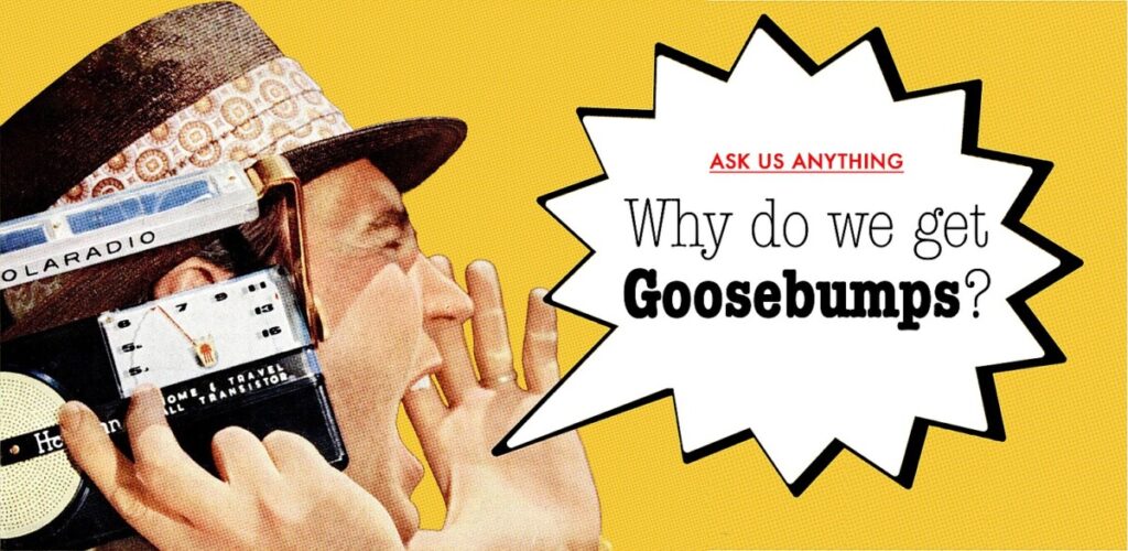 Why do we get goosebumps?