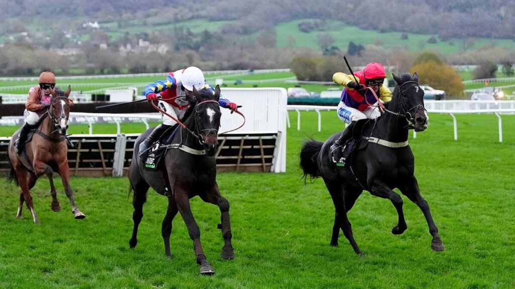 Tizzard hails ‘proper performance’ from Alexei in Greatwood Hurdle