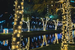 The rise and fall of America’s model mobile crisis service