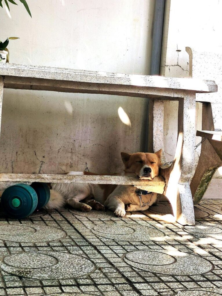 What Will It Take for Home Buyers to Start Asking for a Disaster Discount?