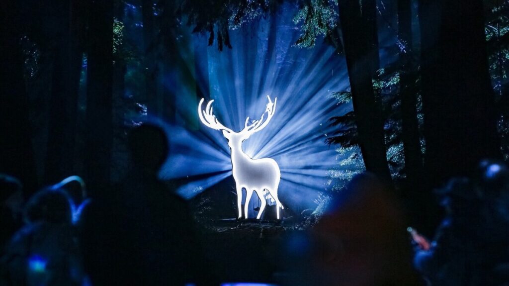 Photos of the Week: Dachshund Day, Flying Fish, Wānaka Tree