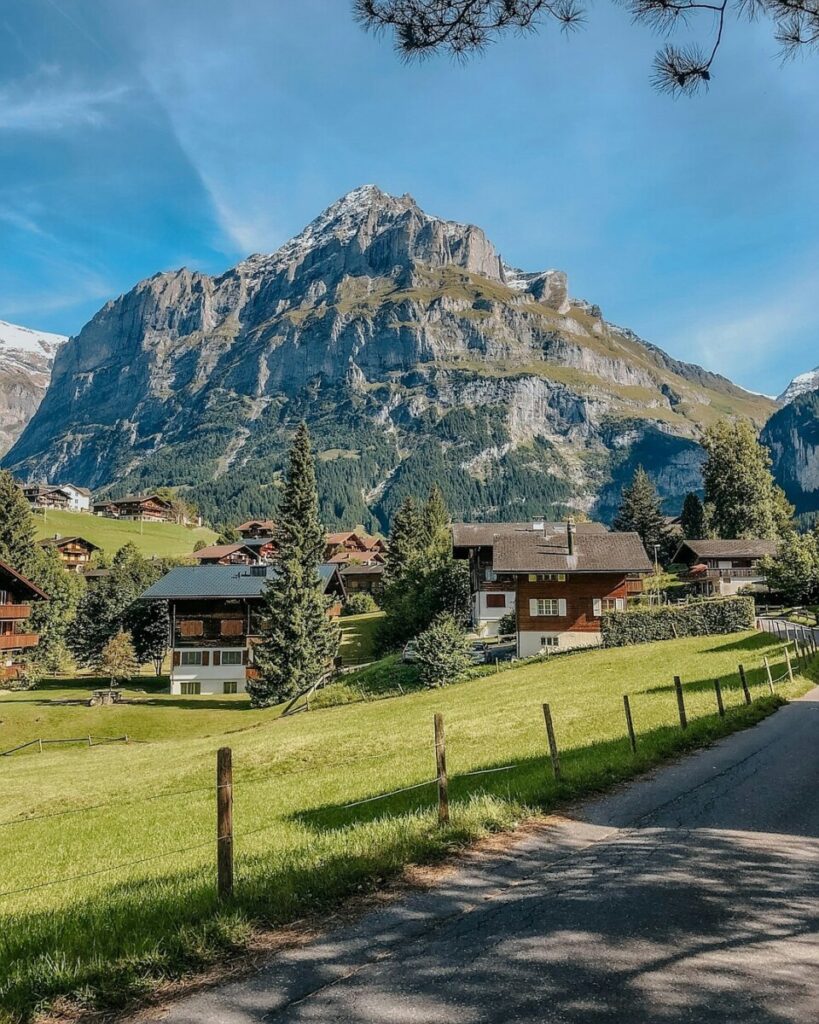 Swiss franc, Japanese yen Rise as DeepSeek News Boosts Safe Havens