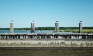 Deal or no deal: can the Trump-Xi truce hold?