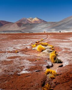 Chile heads for a sharp right turn