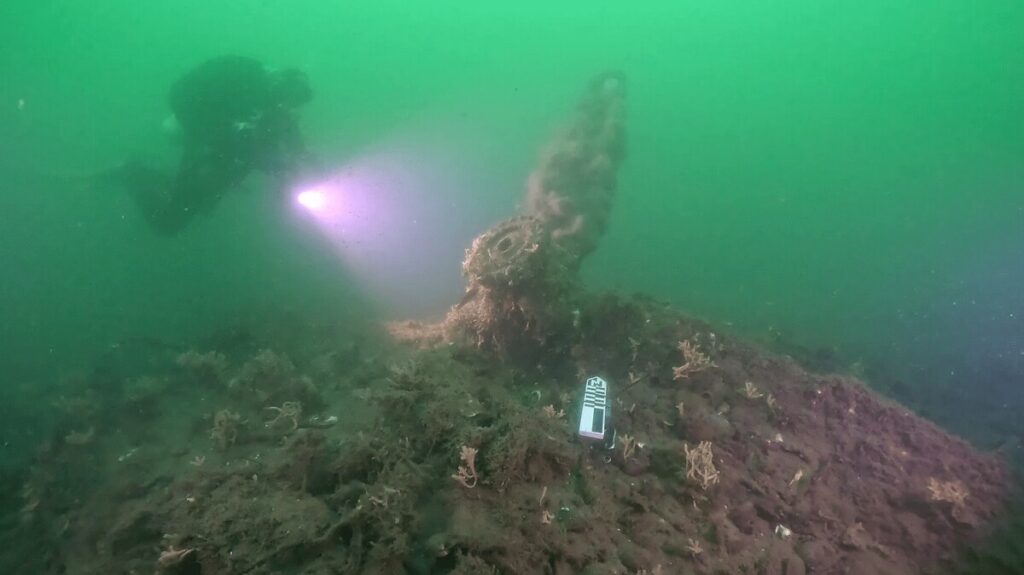 80 years ago, a WWII B-17 bomber crashed in the Baltic. Scientists are finally learning who was onboard.