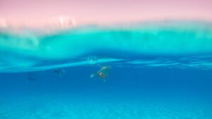 As spending stalls, the video-gaming industry is searching for growth