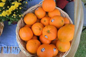 As the West turns inward, Africa looks eastward to China