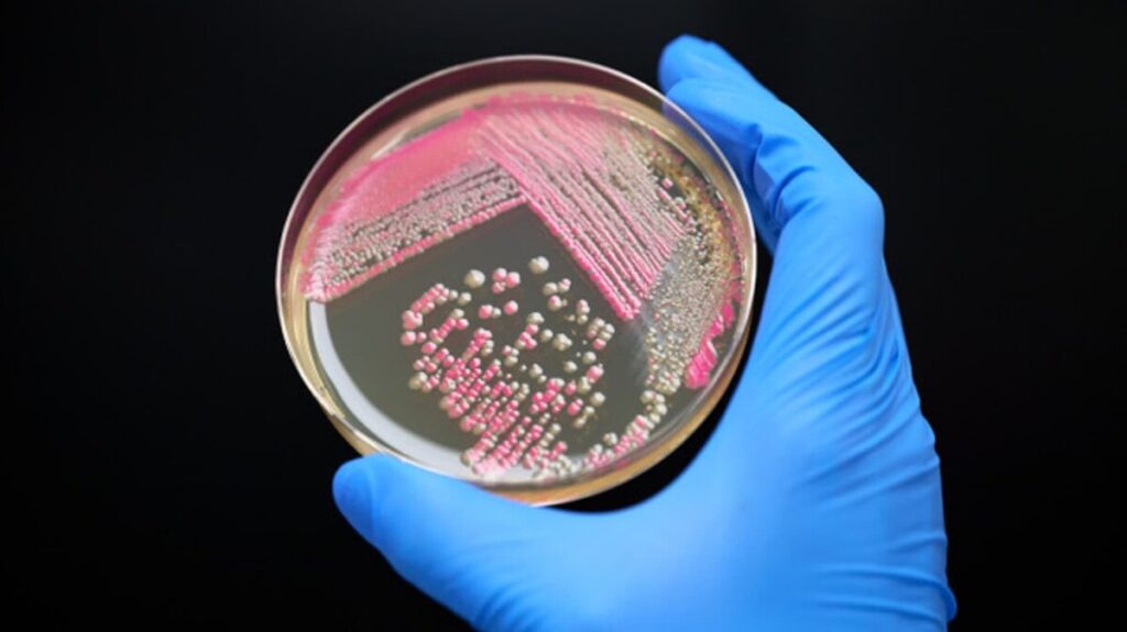 Biotech beauty company Debut brings new ingredients, products to skincare market