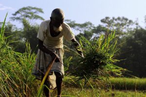 How markets could topple the global economy